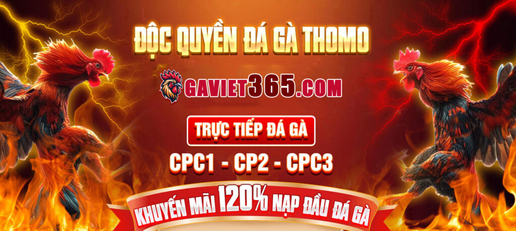 Gaviet365: Khám Phá Nhà Cái Đá Gà & Casino Trực Tuyến Uy Tín Hàng Đầu Việt Nam 2025
