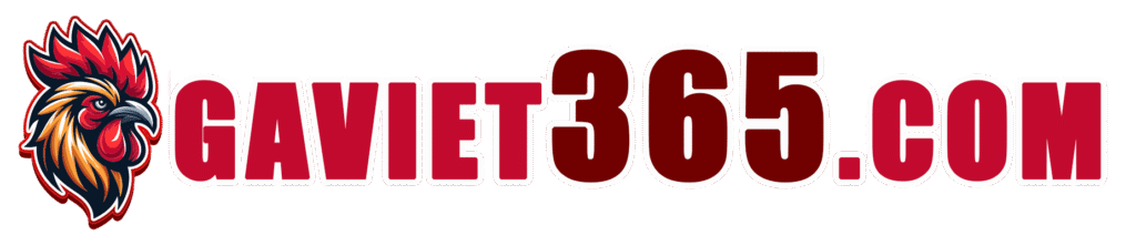 Gaviet365